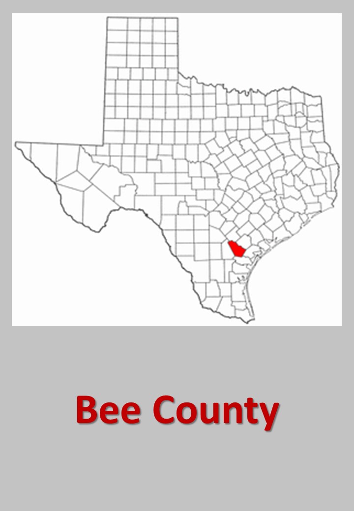 Bee County records