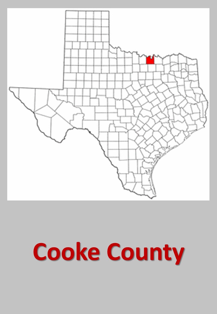 Cooke County records